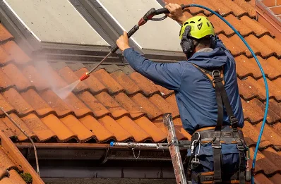 Démoussage et hydrofuge de toiture à Lempaut